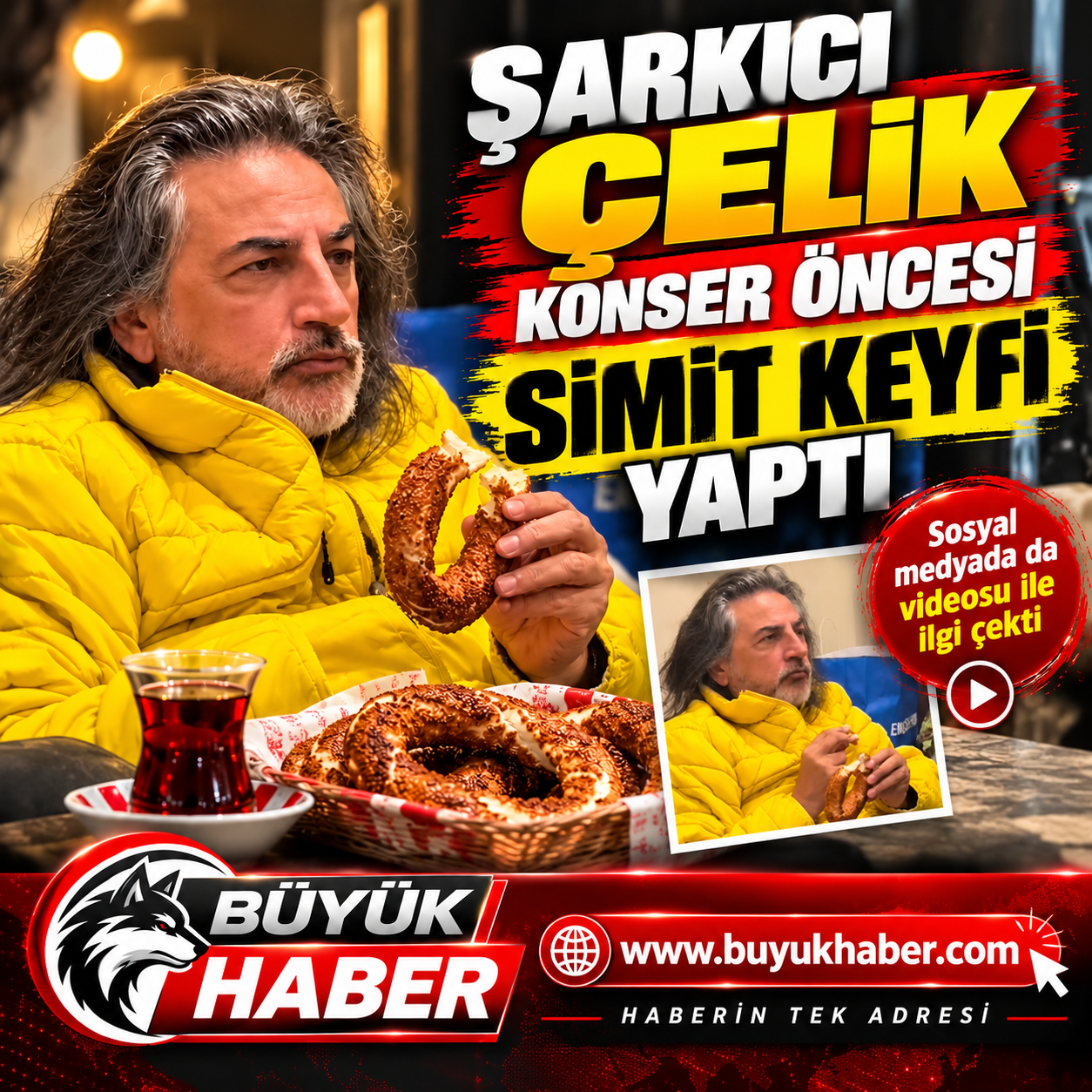 çelik erişçi